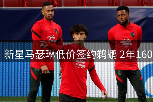 新星马瑟琳低价签约鹈鹕 2年1600万合同引热议