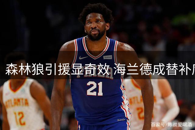 森林狼引援显奇效 海兰德成替补席关键补强